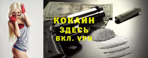 ALPHA PVP Корсаков
