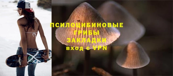 шишки Аркадак