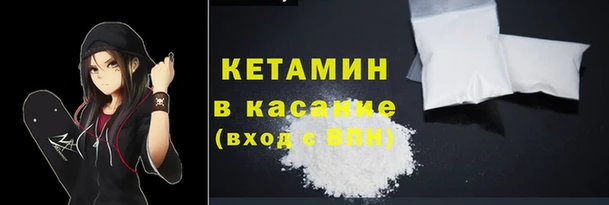шишки Аркадак
