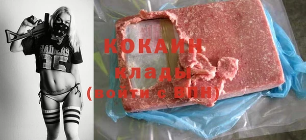 шишки Аркадак