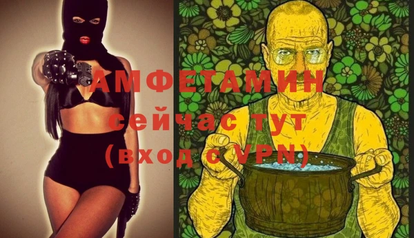 шишки Аркадак