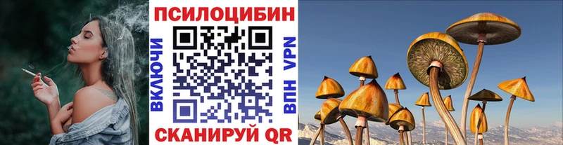 закладка ссылка на мегу онион Галлюциногенные грибы Psilocybe мориарти какой сайт Ахтубинск