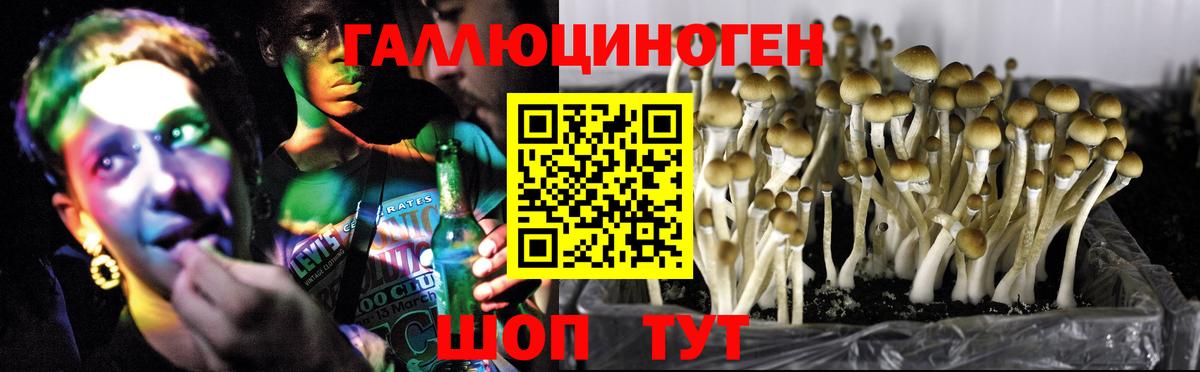 Галлюциногенные грибы MAGIC MUSHROOMS  Вход с VPN  Галлюциногенные грибы Magic Shrooms  Ахтубинск 